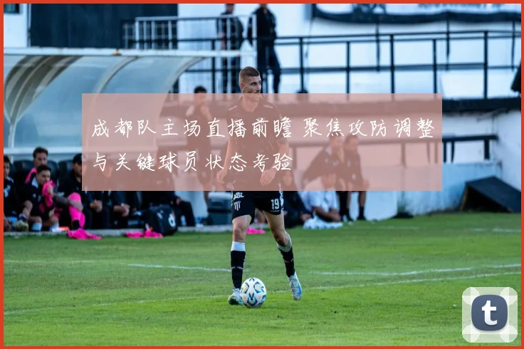 成都队主场直播前瞻 聚焦攻防调整与关键球员状态考验