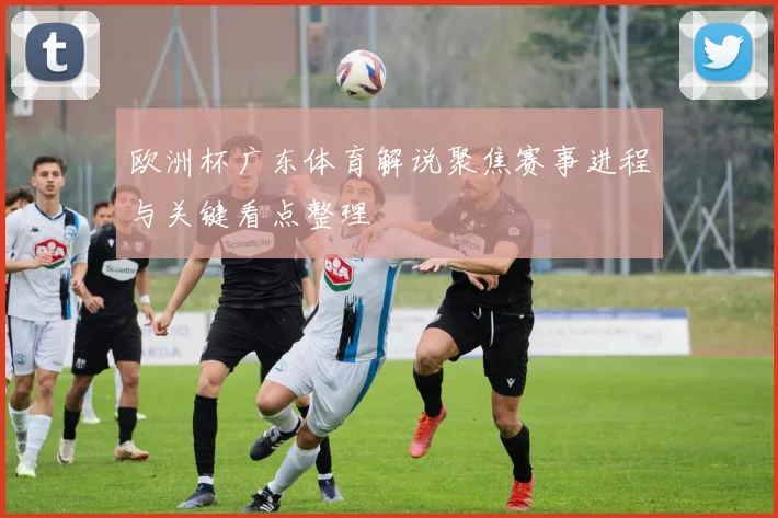 欧洲杯广东体育解说聚焦赛事进程与关键看点整理